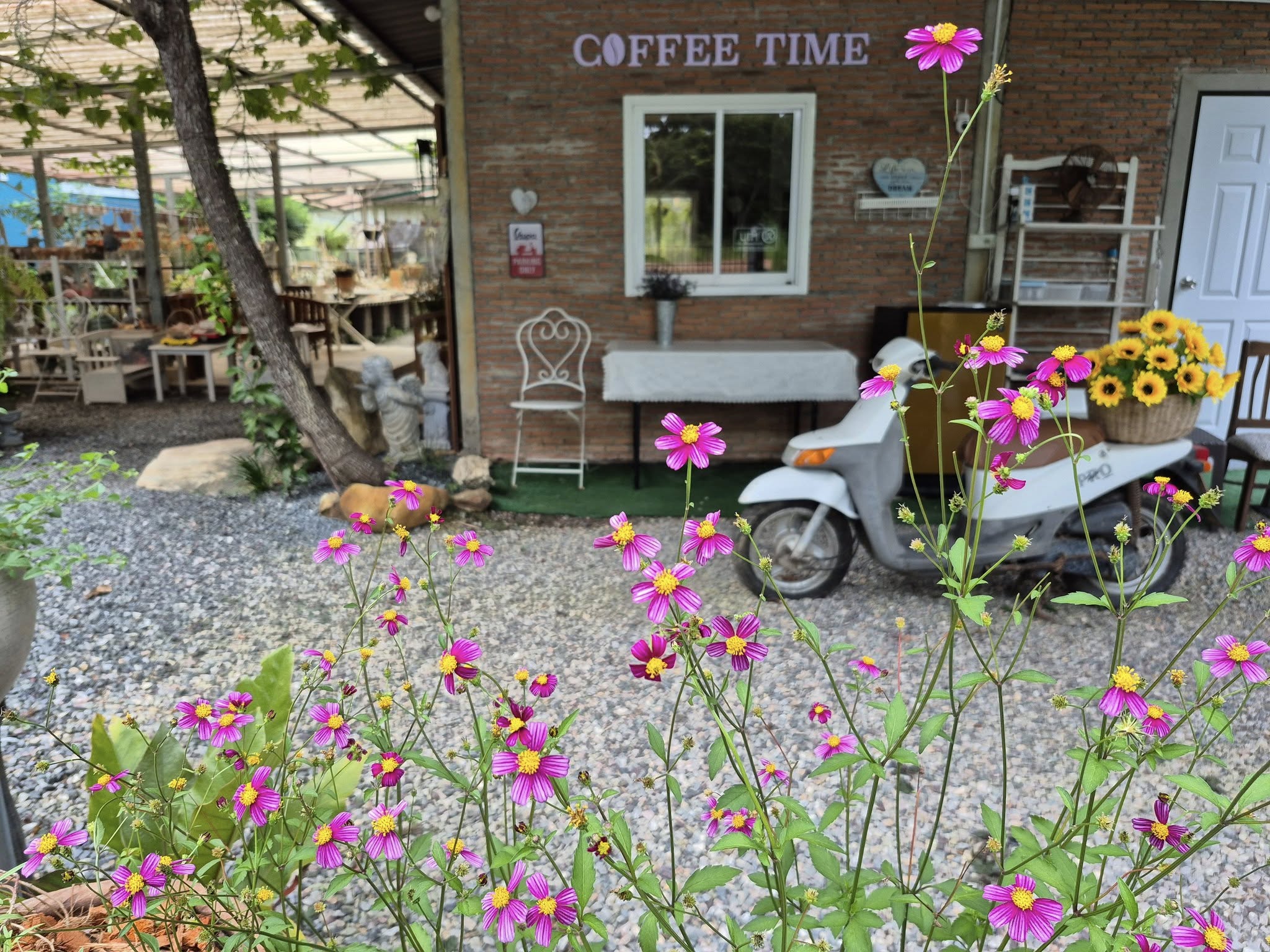 ร้าน ธาม การ์เด้นท์ and คาเฟ่